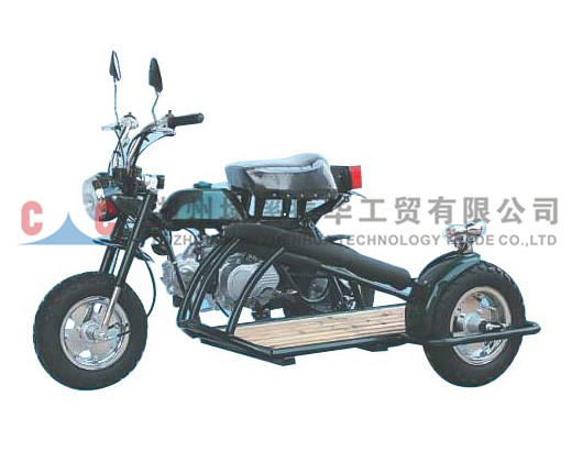 Motocicleta de tres ruedas-ZH-A3L