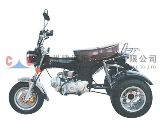 Motocicleta de tres ruedas-ZH-CJL3L Varias duraderas con venta de tres ruedas Motocicleta personalizada en línea para adultos