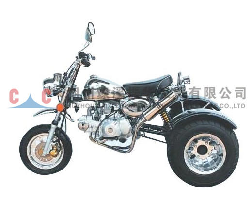 Motocicleta de tres ruedas-ZH-SR3L