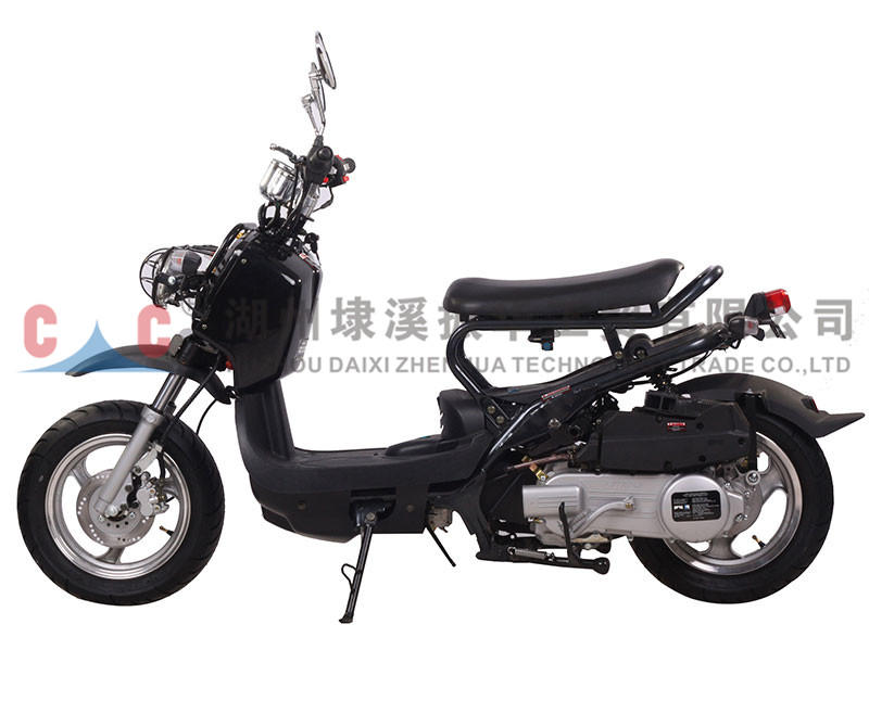 Z vender bien nuevo tipo moda popular adultos motocicleta gasolina