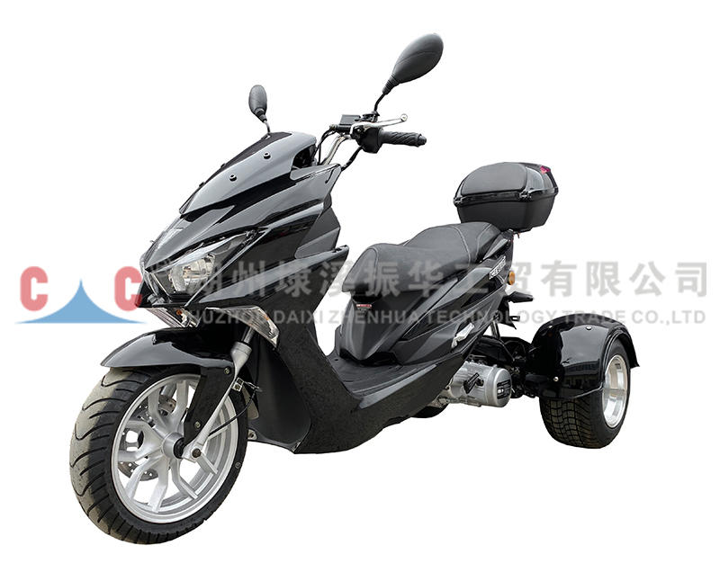 Motor de motocicleta chino con medidor Digital de tres ruedas de fabricación profesional Warrior