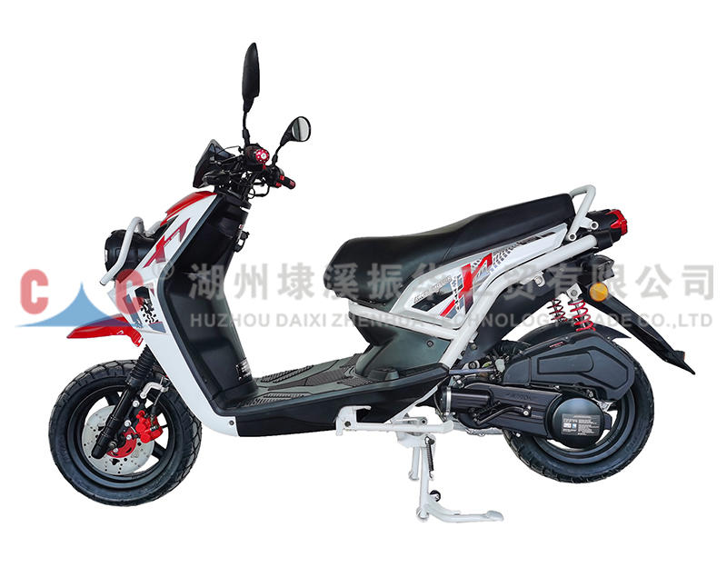 Venta al por mayor de DWS Bomba de combustible de gasolina personalizada Fabricante de China Portador de motocicletas